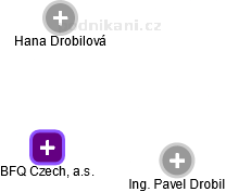 BFQ Czech, a.s. - náhled vizuálního zobrazení vztahů obchodního rejstříku
