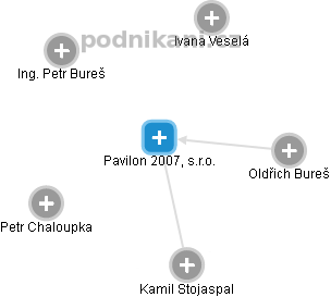 Pavilon 2007, s.r.o. - náhled vizuálního zobrazení vztahů obchodního rejstříku