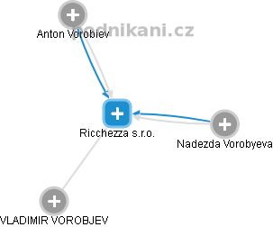 Ricchezza s.r.o. - náhled vizuálního zobrazení vztahů obchodního rejstříku
