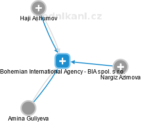 Bohemian International Agency - BIA spol. s r.o. - náhled vizuálního zobrazení vztahů obchodního rejstříku