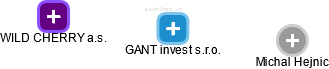 GANT invest s.r.o. - náhled vizuálního zobrazení vztahů obchodního rejstříku