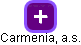Carmenia, a.s. - náhled vizuálního zobrazení vztahů obchodního rejstříku