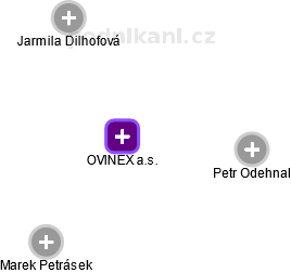 OVINEX a.s. - náhled vizuálního zobrazení vztahů obchodního rejstříku