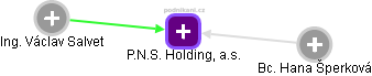 P.N.S. Holding, a.s. - náhled vizuálního zobrazení vztahů obchodního rejstříku