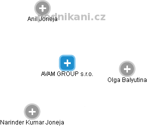 AVAM GROUP s.r.o. - náhled vizuálního zobrazení vztahů obchodního rejstříku