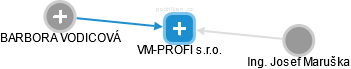 VM-PROFI s.r.o. - náhled vizuálního zobrazení vztahů obchodního rejstříku