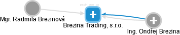 Brezina Trading, s.r.o. - náhled vizuálního zobrazení vztahů obchodního rejstříku