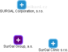 SurGal Group, a.s. - náhled vizuálního zobrazení vztahů obchodního rejstříku