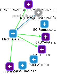 Black Ops s.r.o. - náhled vizuálního zobrazení vztahů obchodního rejstříku