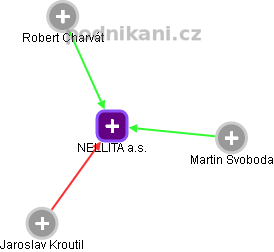 NELLITA a.s. - náhled vizuálního zobrazení vztahů obchodního rejstříku