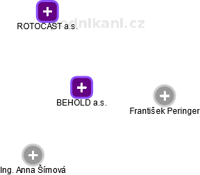 BEHOLD a.s. - náhled vizuálního zobrazení vztahů obchodního rejstříku