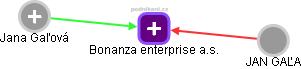 Bonanza enterprise a.s. - náhled vizuálního zobrazení vztahů obchodního rejstříku