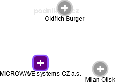 MICROWAVE systems CZ a.s. - náhled vizuálního zobrazení vztahů obchodního rejstříku