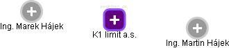 K1 limit a.s. - náhled vizuálního zobrazení vztahů obchodního rejstříku