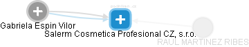 Salerm Cosmetica Profesional CZ, s.r.o. - náhled vizuálního zobrazení vztahů obchodního rejstříku