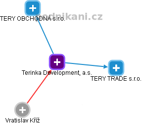 Terinka Development, a.s. - náhled vizuálního zobrazení vztahů obchodního rejstříku