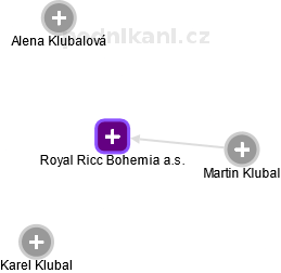 Royal Ricc Bohemia a.s. - náhled vizuálního zobrazení vztahů obchodního rejstříku