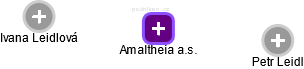 Amaltheia a.s. - náhled vizuálního zobrazení vztahů obchodního rejstříku