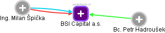 BSI Capital a.s. - náhled vizuálního zobrazení vztahů obchodního rejstříku