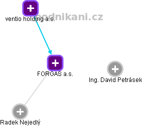 FORGAS a.s. - náhled vizuálního zobrazení vztahů obchodního rejstříku