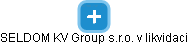 SELDOM KV Group s.r.o. v likvidaci - náhled vizuálního zobrazení vztahů obchodního rejstříku