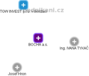BOCHA a.s. - náhled vizuálního zobrazení vztahů obchodního rejstříku