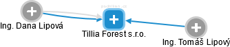 Tillia Forest s.r.o. - náhled vizuálního zobrazení vztahů obchodního rejstříku
