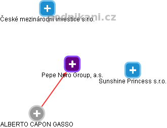 Pepe Nero Group, a.s. - náhled vizuálního zobrazení vztahů obchodního rejstříku