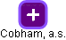 Cobham, a.s. - náhled vizuálního zobrazení vztahů obchodního rejstříku