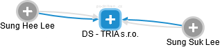 DS - TRIA s.r.o. - náhled vizuálního zobrazení vztahů obchodního rejstříku