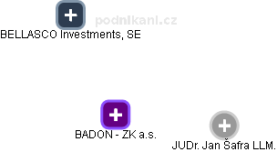 BADON - ZK a.s. - náhled vizuálního zobrazení vztahů obchodního rejstříku