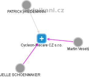Cycleon-Recare CZ s.r.o. - náhled vizuálního zobrazení vztahů obchodního rejstříku