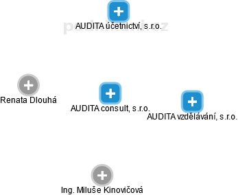 AUDITA consult, s.r.o. - náhled vizuálního zobrazení vztahů obchodního rejstříku