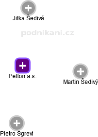 Pelton a.s. - náhled vizuálního zobrazení vztahů obchodního rejstříku