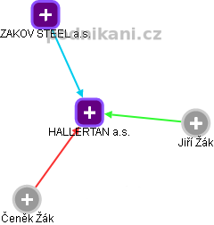 HALLERTAN a.s. - náhled vizuálního zobrazení vztahů obchodního rejstříku