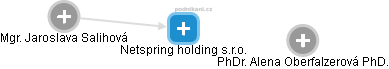 Netspring holding s.r.o. - náhled vizuálního zobrazení vztahů obchodního rejstříku
