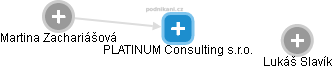 PLATINUM Consulting s.r.o. - náhled vizuálního zobrazení vztahů obchodního rejstříku