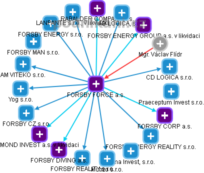FORSBY FORCE a.s. - náhled vizuálního zobrazení vztahů obchodního rejstříku