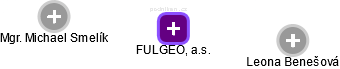 FULGEO, a.s. - náhled vizuálního zobrazení vztahů obchodního rejstříku