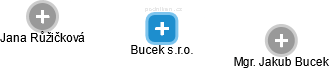 Bucek s.r.o. - náhled vizuálního zobrazení vztahů obchodního rejstříku