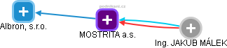 MOSTRITA a.s. - náhled vizuálního zobrazení vztahů obchodního rejstříku