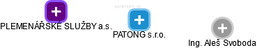 PATONG s.r.o. - náhled vizuálního zobrazení vztahů obchodního rejstříku