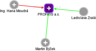 PROFITIS a.s. - náhled vizuálního zobrazení vztahů obchodního rejstříku