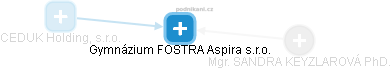 Gymnázium FOSTRA II. s.r.o. - náhled vizuálního zobrazení vztahů obchodního rejstříku