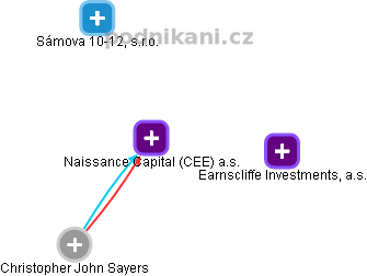 Naissance Capital (CEE) a.s. - náhled vizuálního zobrazení vztahů obchodního rejstříku