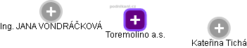 Toremolino a.s. - náhled vizuálního zobrazení vztahů obchodního rejstříku
