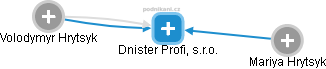 Dnister Profi, s.r.o. - náhled vizuálního zobrazení vztahů obchodního rejstříku