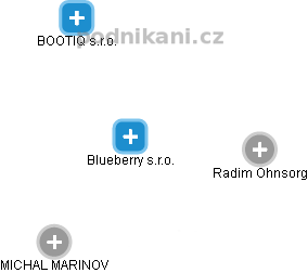 Blueberry s.r.o. - náhled vizuálního zobrazení vztahů obchodního rejstříku