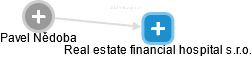 Real estate financial hospital s.r.o. - náhled vizuálního zobrazení vztahů obchodního rejstříku