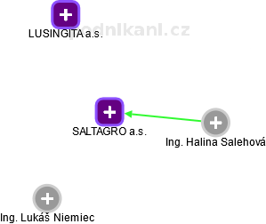 SALTAGRO a.s. - náhled vizuálního zobrazení vztahů obchodního rejstříku